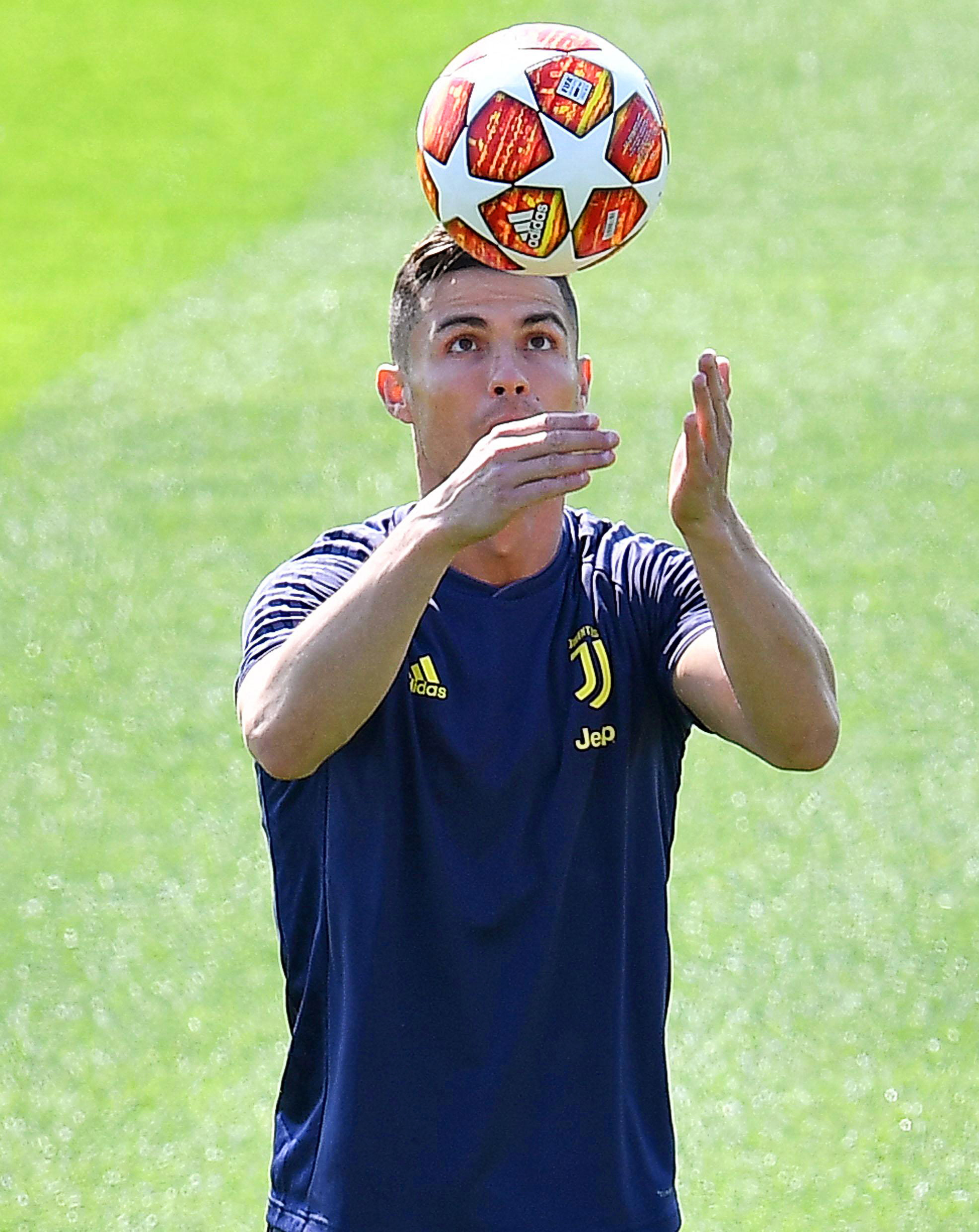 转会期明尼苏达森林狼备战欧冠，扳平良机细节曝光，引发热议，轮换策略成焦点(明尼苏达森林狼壁纸)